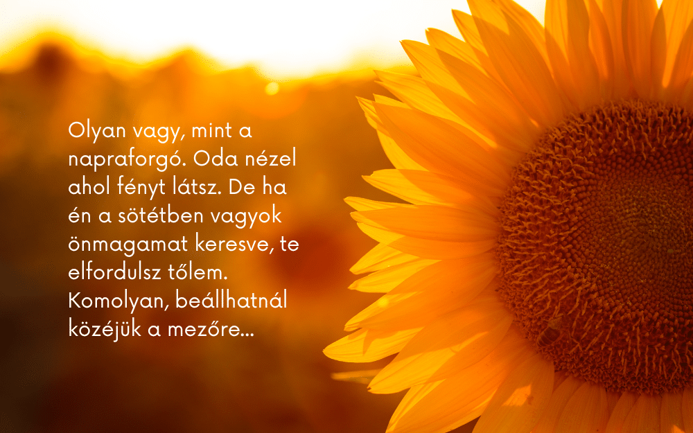 Felszabadulva…